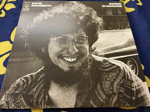 David Bromberg★中古LP国内盤「デビッド・ブロムバーグ～変装した悪魔」