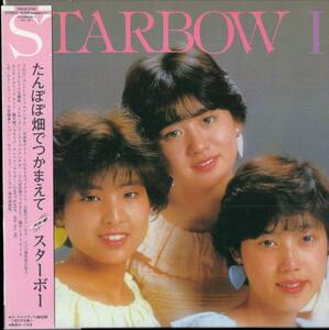 即：スターボー 「 たんぽぽ畑でつかまえて 」CD/帯付/紙ジャケ