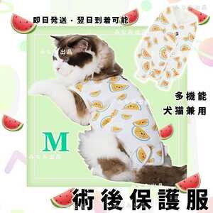 新入荷 猫犬 術後服 ウェア 離乳 避妊　手術 雄雌 エレザべスカラー　スイカM　スイカ柄