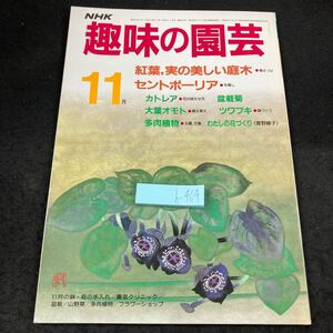 h-464 NHK 趣味の園芸 11月 紅葉、身の美しい庭木 セントポーリア カトレア 盆栽菊 大葉オモト ツワブキ 多肉植物 わたしの花づくり※5