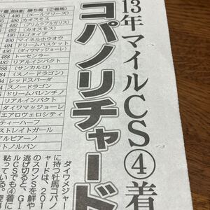 コパノリチャード、2013マイルCS④着、北海道新冠で乗用馬に【あの馬は今】写真説明必読参照BKHYNG