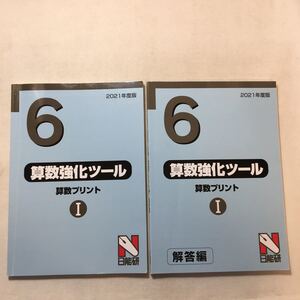 zaa-311♪日能研2021年度　中学受験合格用6年　算数強化ツール算数プリント+解答　2冊セット