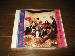 ☆ FLYING KIDS フライング キッズ 『新しき魂の光と道』 貴重 レア 廃盤 入手困難 CD