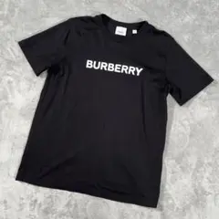 バーバリー　レディース　半袖Tシャツ　ビッグロゴ　Sサイズ　黒　Sサイズ