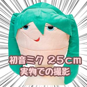 初音ミク　帽子　コスプレ　被り物　25cm　フリーサイズ　 国内【残5限定】