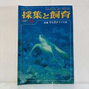 採集と飼育 1981年9月号★特集 ウミガメその生態/アオウミガメ/アオウミガメの誕生/沖縄の蝶/生物の知識・観察と実験/動植物