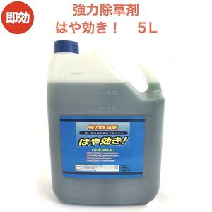 強力 除草剤 はや効き！ 液剤 5L 1本 液体 最大5000平米対応 希釈タイプ 業務用にも 非農耕地用 雑草を枯らす 速効