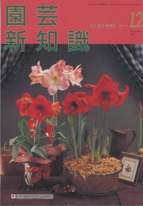 ■園芸新知識　2000.12月号　［クリスマスを花で飾る］検：キバナリンドウ・トリリウム グランディフロールム