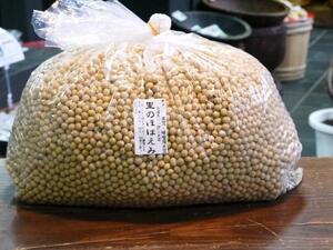 【おたまや】令和６年産 味噌用大豆 里のほほえみ（7kg）