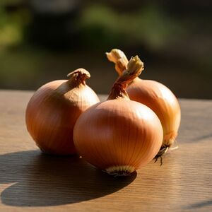 甘さと鮮度を直送！淡路島産玉ねぎ 逸品5kg