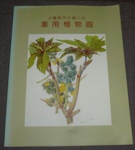 小磯良平の描いた薬用植物画(1995年/神戸市立小磯記念美術館