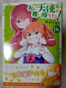 私に天使が舞い降りた！ 14巻 椋木ななつ [初版] B6ワイド版