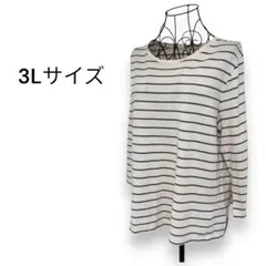 レディース トップス Tシャツ 7分袖 3Lサイズ ボーダー柄 シンプル