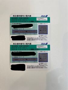 【TM0107】未使用 ANA株主優待券　緑 2024年12月1日〜2025年11月30日 2枚 航空 金券