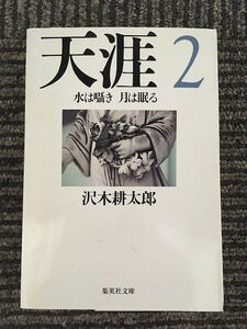 天涯 2 水は囁き 月は眠る (集英社文庫) / 沢木 耕太郎