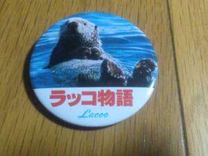ラッコ物語 東宝 映画缶バッジ 斉藤由貴 藤村志保 小林綾子 西川のりお 森繁久彌 永田貴士 レトロ玩具