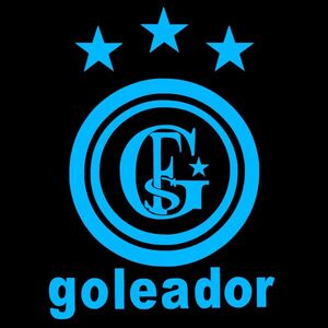 送料0【goleador】ゴレアドール 25cmサッカーステッカーB6