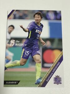 2018 TE 稲垣祥　サンフレッチェ広島　ワールドカップ　名古屋グランパスエイト