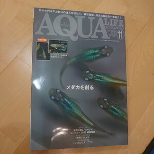 月刊アクアライフ2022年11月号 AQUALIFE メダカを創る 日本中の達人を訪ねて 改良の秘訣を一挙紹介