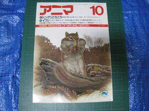 アニマ　1986年10月号　特集：ドングリころころ　イワシ　平凡社