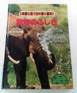講談社カラー科学大図鑑　動物のふしぎ