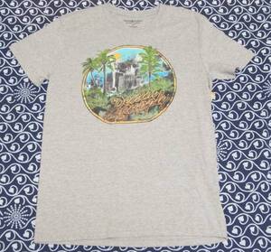 デニム&サプライ Tシャツ 南国 風景 プリント 灰 M