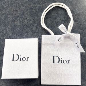 ■送料無料■新品■Christian Dior クリスチャン ディオール ギフト ボックス ショッパー リボン付 紙袋 ロゴバック プレゼント ショップ袋