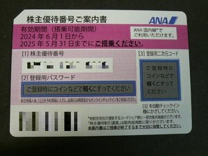 DW-50221-45 ANA 株主優待券 2025年5月31日まで 送料無料 通知可 1枚