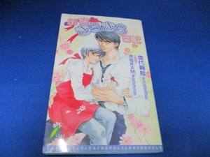 新妻 きらきら日記 (リーフノベルズ) 新書 2005/10/18　雪代 鞠絵／ボーイズラブ