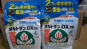 1kg ×４袋セット オルトランDX粒剤 送料無料 オルトラン dx 住友 有効期限１年以上