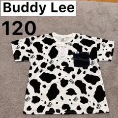 【新品未使用】Buddy Lee バディーリー　牛柄　Tシャツ　アニマル　120