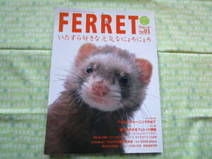 D12 『FERRET(フレット）　Vol.０１』 石川晋／監修 　オークラ出版発行　