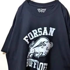 ギルダン フォーサンバッファローズ ロゴ Tシャツ ブラック 黒 XL 古着