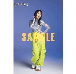 水樹奈々 Blu-ray LIVE HEROES とらのあな特典 タペストリー