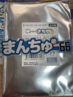 北海道日本ハムファイターズ　万波中世