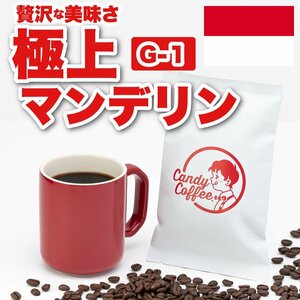 【出来立て】自家焙煎コーヒー豆　極上 マンデリンG1　300g　マンデリン100%　インドネシア　/　キャンディコーヒー Candy Coffee