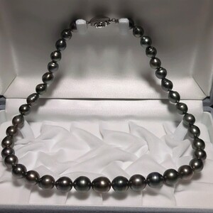 【黒蝶真珠】8.0-10.5mm 44.5cm クロチョウ ブラック ネックレス アクセサリー SILVER pearl パール