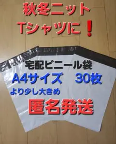 【 30枚 】A4宅配ビニール袋 テープ付き 宅配用 郵便用