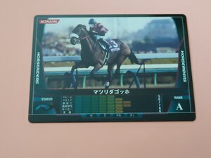 マツリダゴッホ A HORSERIDERS KONAMI