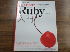 プロを目指す人のためのRuby入門 伊藤淳一