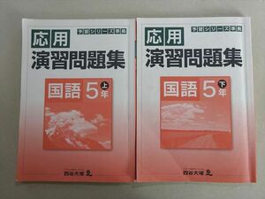 VH37-050 四谷大塚 予習シリーズ準拠 応用演習問題集 国語5年上/下(041128-8/140628-9) 計2冊 18 S2B