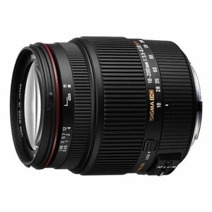 SIGMA 高倍率ズームレンズ 18-200mm F3.5-6.3IIDC HSM ソニー用 APS-C専用　(shin