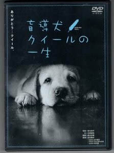 【DVD】盲導犬クイールの一生