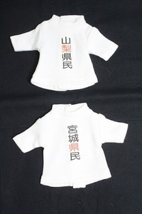 幼SD/OF 県民Ｔシャツ2点セット I-24-02-11-2100-TO-ZI