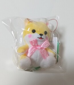 新品【豆しば三兄弟 ハッピークリスマス】マスコット お座りタイプ ぬいぐるみ 犬 アニマル