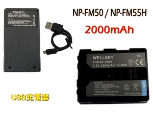 NP-FM55H NP-FM50 互換バッテリー 1個 と Tyep-C USB 充電器 1個 純正品と同じよう使用可能 DSLR-A100W DSLR-A100K DSLR-A100 α100