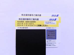 ■送料無料■　全日空ANA株主優待券2枚 有効期限2024年11月末(B)