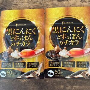 2袋 黒ニンニクとすっぽんのチカラ 30日分 青森県産黒にんにく 長崎県産すっぽん 熊本県産卵黄油 サプリ 力みなぎる 充実生活 元気