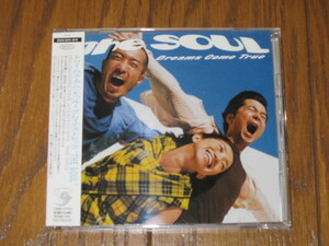 グレイテストヒッツ　"THE SOUL"　ドリームズ・カム・トゥルー