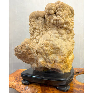 大自然が作り出した唯一無二の神秘な石 鍾乳石 【28】 高さ約38cm stalactite 鑑賞石 台付 飾り石 鍾乳洞 自然石 景石 盆石 希少 天然石